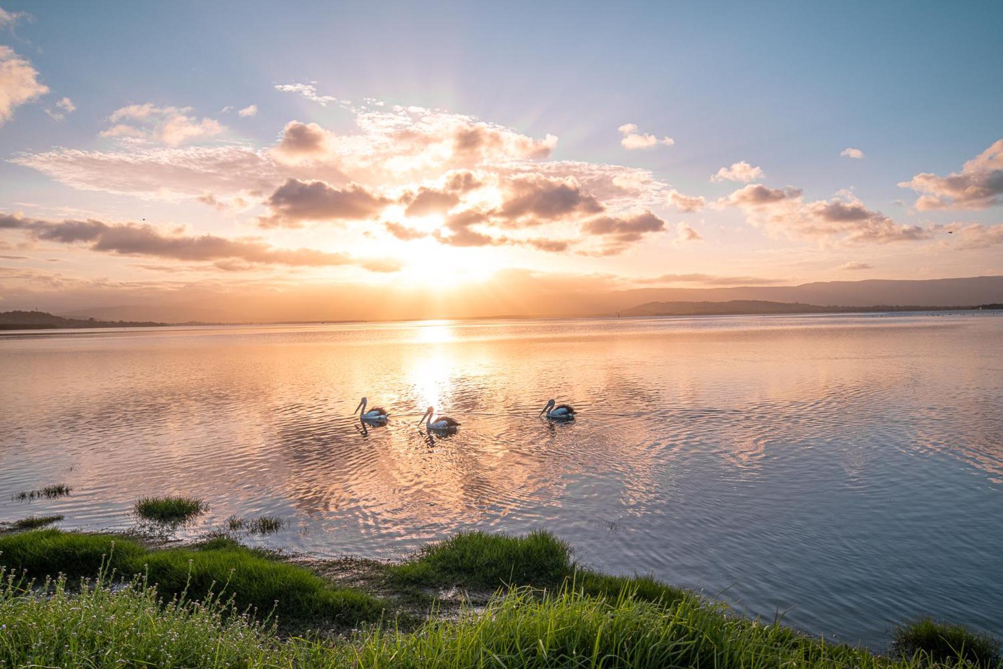 Lakeside Inn Wollongong Primbee Kültér fotó